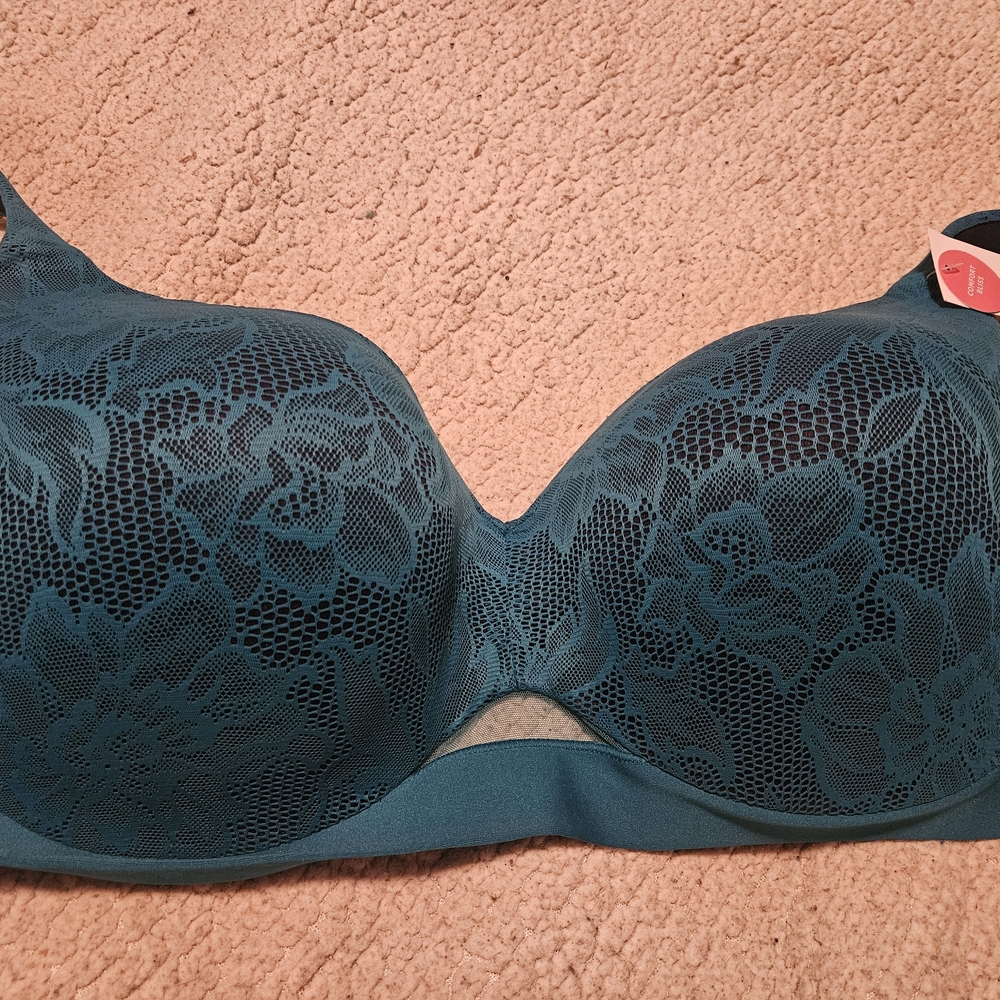 Elegant Lace Teal Bra